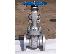PoulaTo: GATE VALVES IN KOLKATA